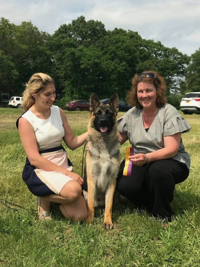 June 2, 18 New ch Swayze Carlyn Kennels