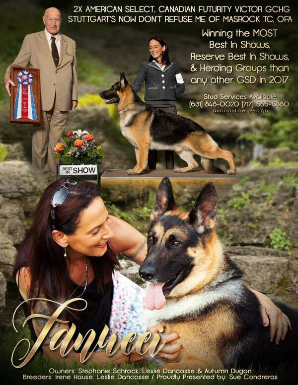 American Dog Fanciers