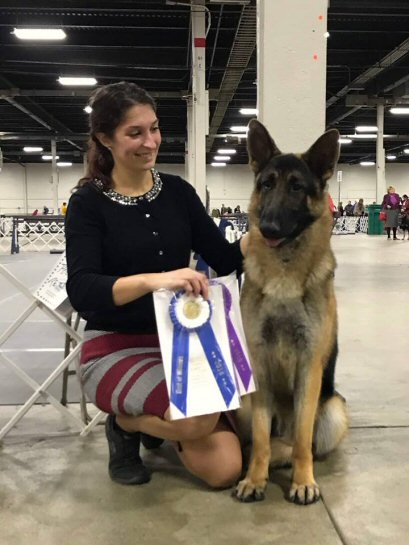 Autumn Dugan of Carlyn Kennels is a GSD handler.